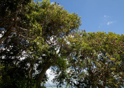 Kaneohe Bay