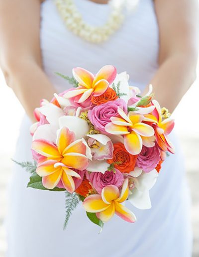 Bright Beauty Rose White Orchid Plumerias