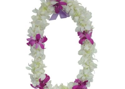double white orchid and purple orchids