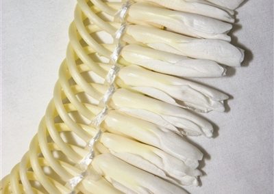 ginger flat lei whit brides lei