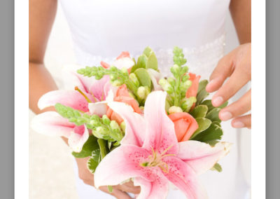 Stargazer Lily Large Bouquet