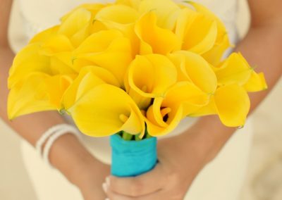 yellow calla lily