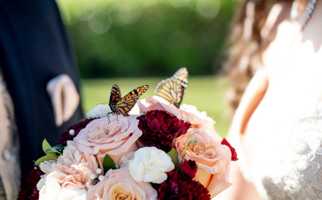 Butterfly Release